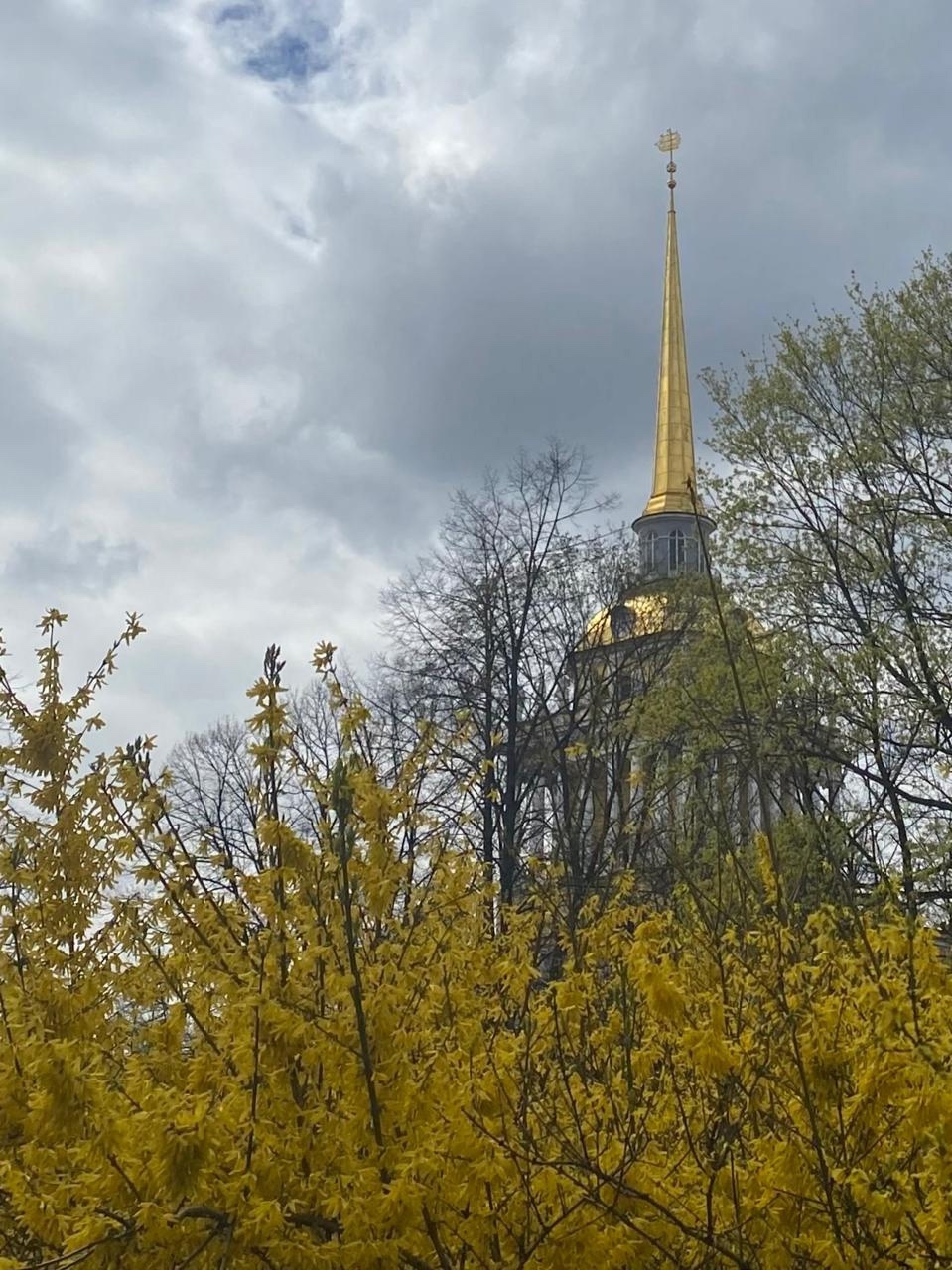 А Петербург сегодня такой